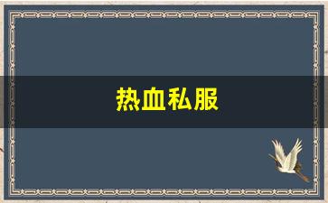 热血私服(热血官方网站)