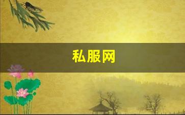 私服网(手游私sf平台) (4)