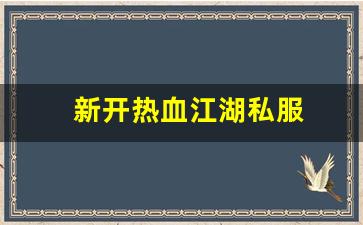 新开热血江湖私服 (11)