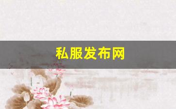 私服发布网(手游私sf平台) (5)